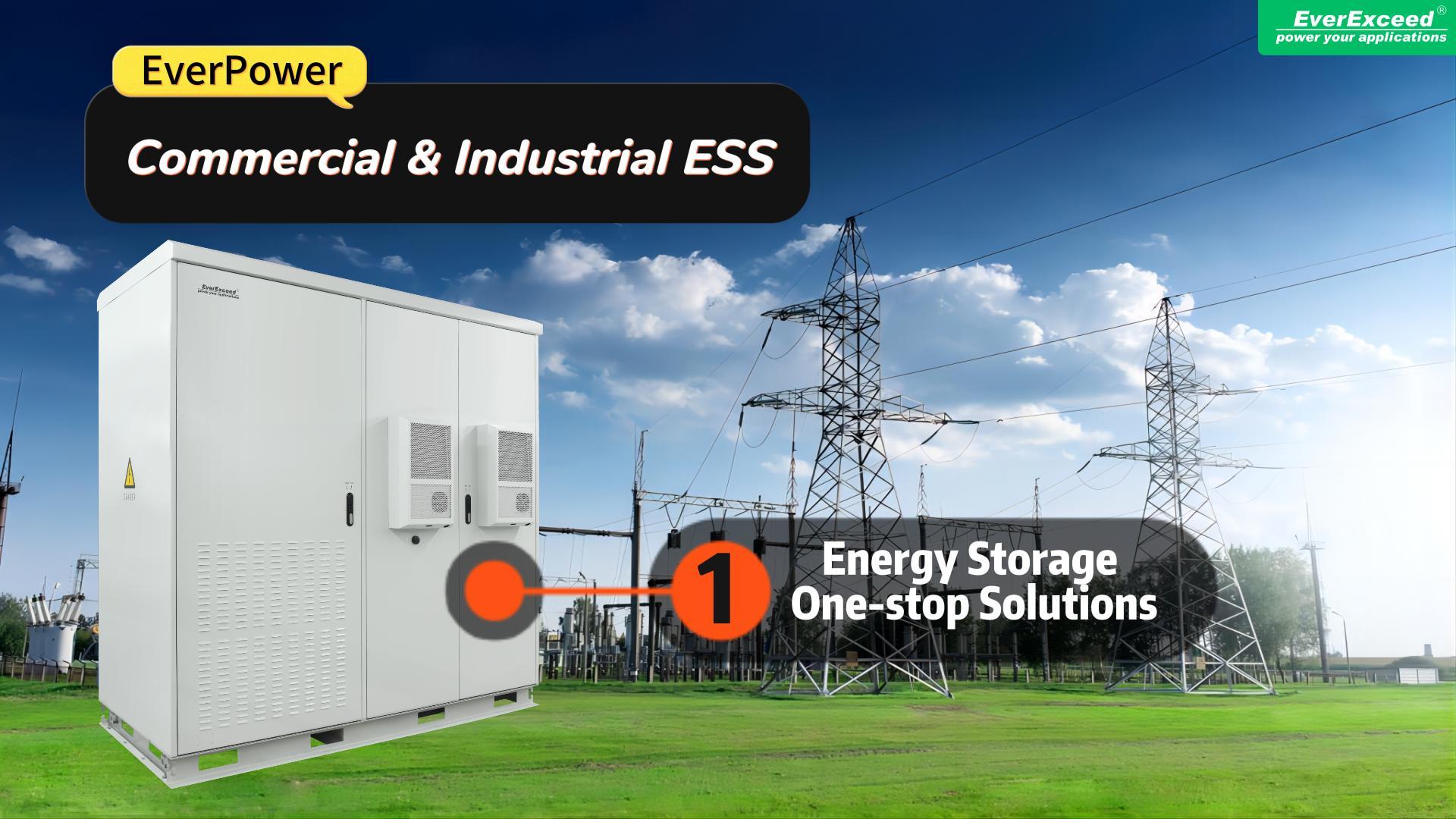 Sistema de almacenamiento de energía comercial e industrial EverPower